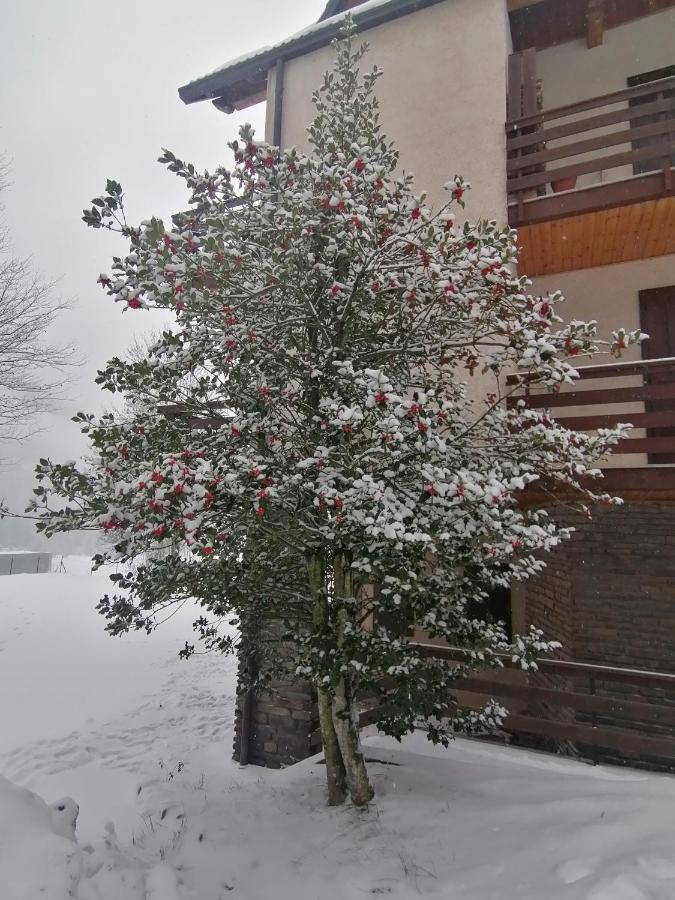 Grande Casa Di Famiglia Appartement Temù Buitenkant foto