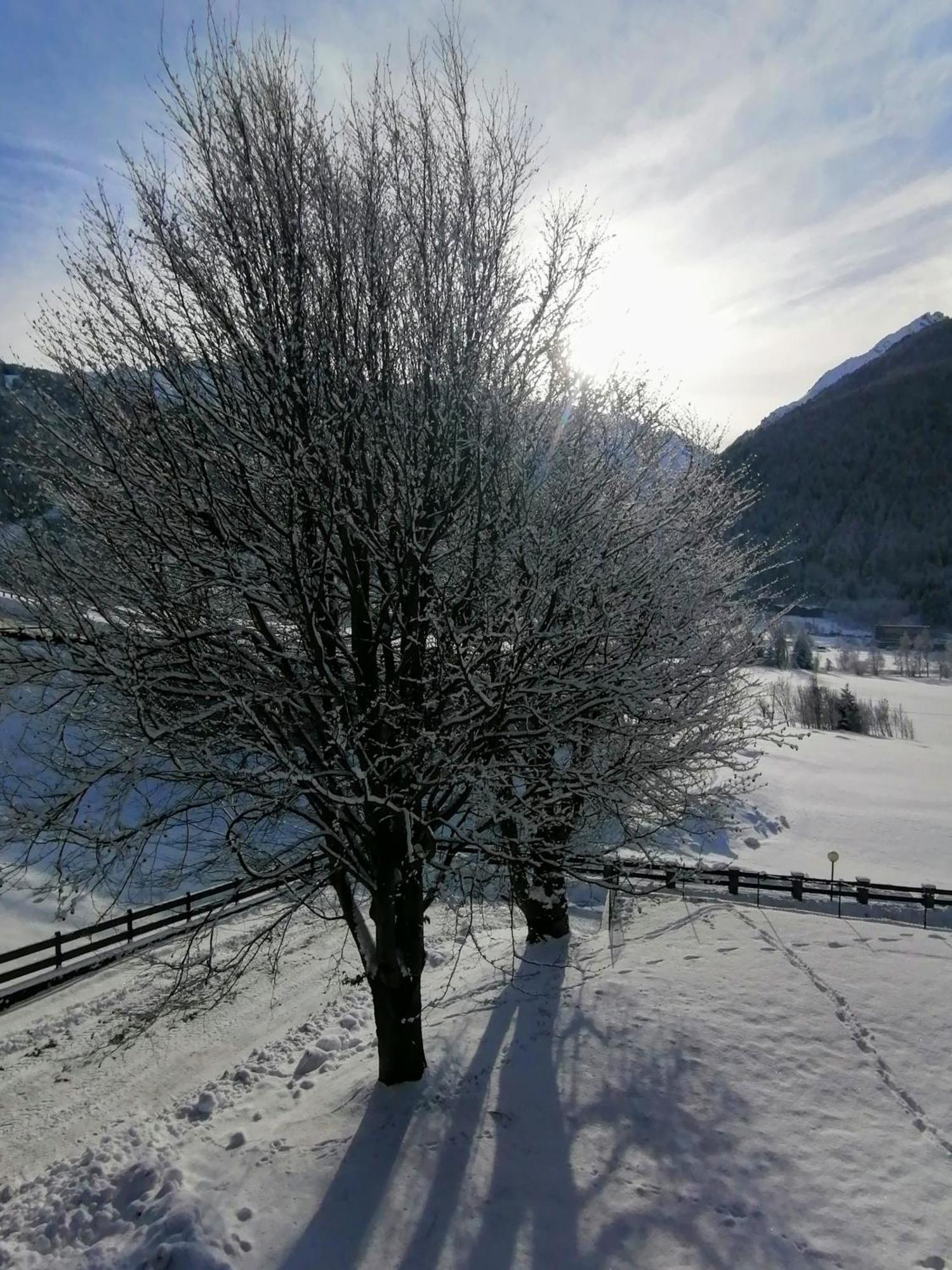 Grande Casa Di Famiglia Appartement Temù Buitenkant foto