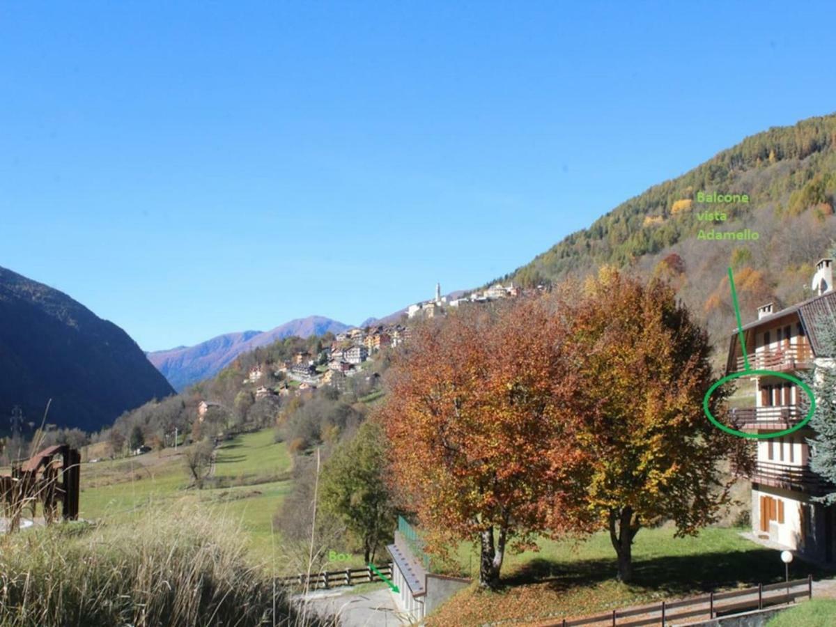 Grande Casa Di Famiglia Appartement Temù Buitenkant foto